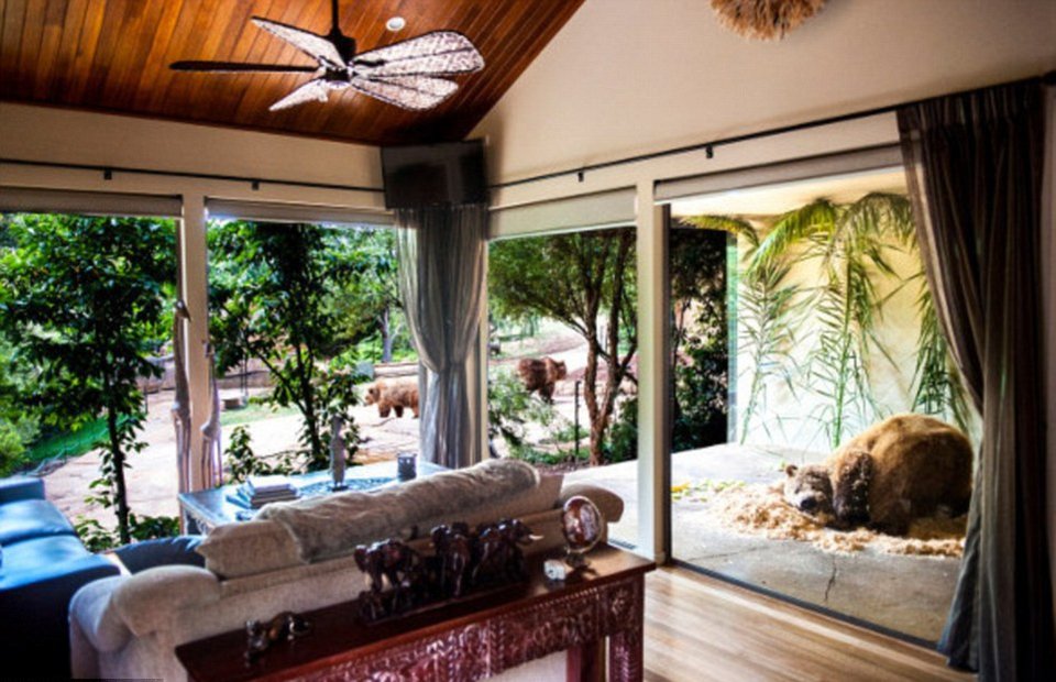 Το πιο «άγριο» ξενοδοχείο -Μπάνιο με αρκούδες, ξύπνημα με λιοντάρια, γεύμα δίπλα σε ύαινες [εικόνες & βίντεο] | iefimerida.gr 3