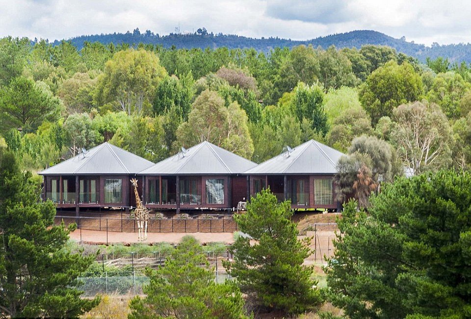 Το πιο «άγριο» ξενοδοχείο -Μπάνιο με αρκούδες, ξύπνημα με λιοντάρια, γεύμα δίπλα σε ύαινες [εικόνες & βίντεο] | iefimerida.gr 4