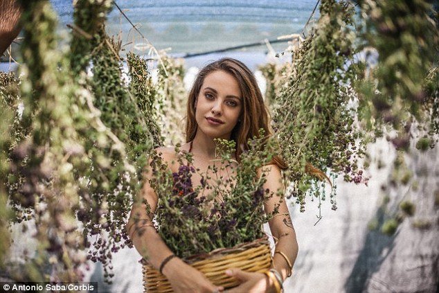 Τα superfoods των Αρχαίων Ελλήνων -Σκόρδο, κρεμμύδι και άλλα τρόφιμα που θεραπεύουν | iefimerida.gr 1