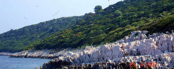 Μόδι: Γιατί το ελληνικό αυτό νησί, αν και περιζήτητο, παραμένει απούλητο [εικόνες] | iefimerida.gr 2