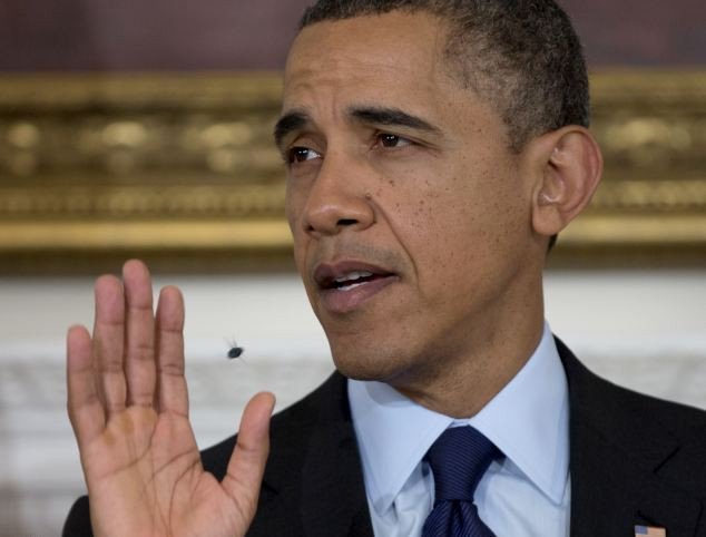 Ο Μπαράκ Ομπάμα βαράει... μύγες στο Οβάλ γραφείο, κυριολεκτικά [εικόνες] | iefimerida.gr 1