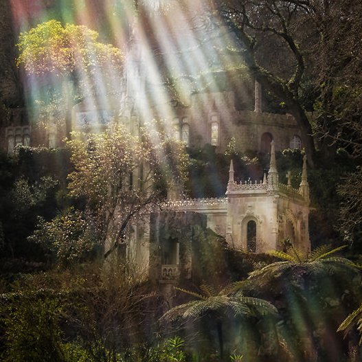 Τούνελ, μυστικά περάσματα και αμέτρητες σκάλες-Η μαγεία και το μυστήριο του θρυλικού παλατιού «Regaleira» [εικόνες] | iefimerida.gr 12