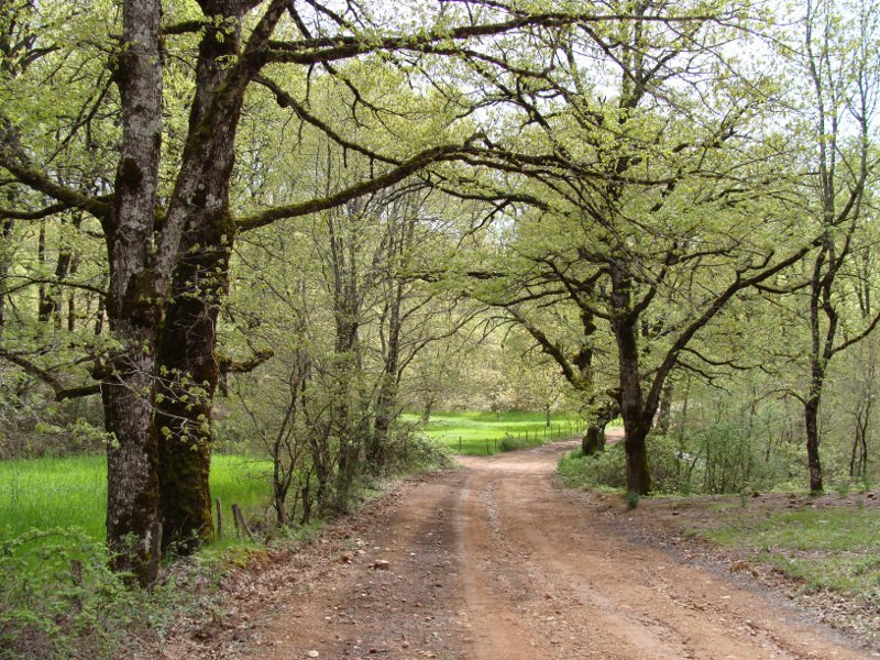 O πρώην βουλευτής της ΝΔ που έγινε βοσκός με 1.000 πρόβατα -Πήζει γιαούρτι και φτιάχνει φέτα [εικόνες] | iefimerida.gr 3
