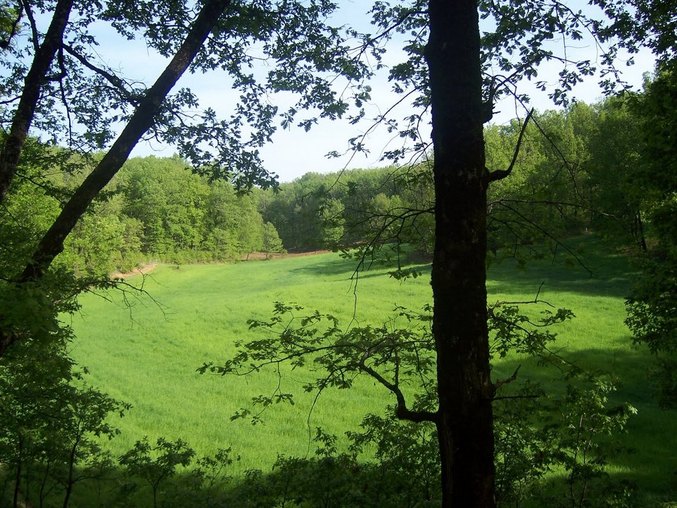 O πρώην βουλευτής της ΝΔ που έγινε βοσκός με 1.000 πρόβατα -Πήζει γιαούρτι και φτιάχνει φέτα [εικόνες] | iefimerida.gr 4