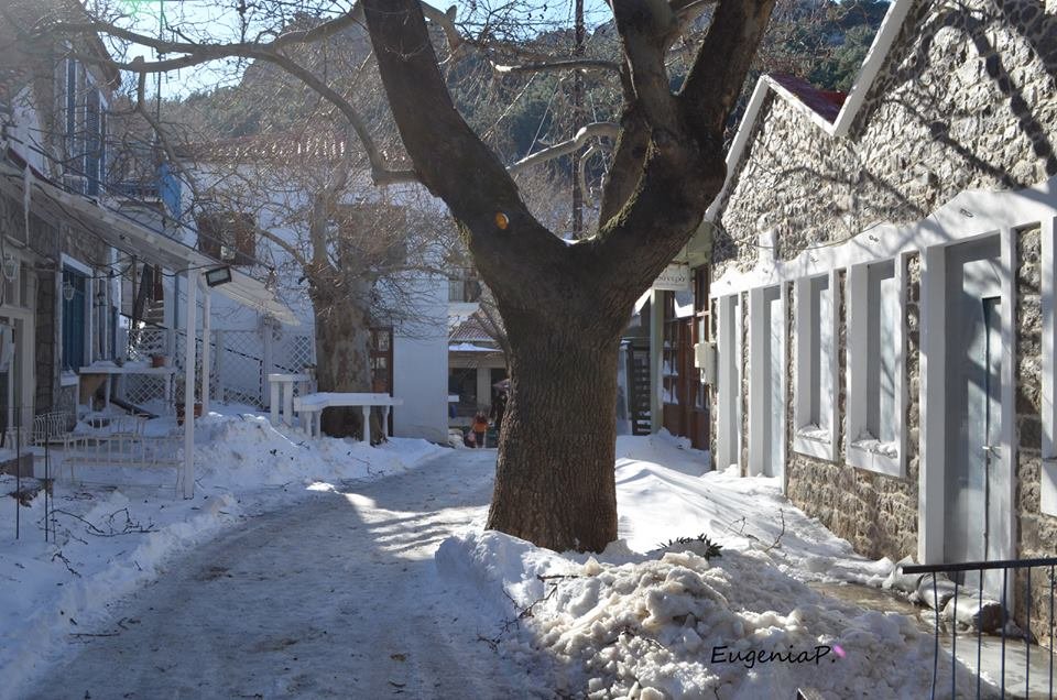 Στα λευκά η Σαμοθράκη: Το χιόνι σκέπασε τις πόρτες των σπιτιών [εικόνες & βίντεο] | iefimerida.gr 0