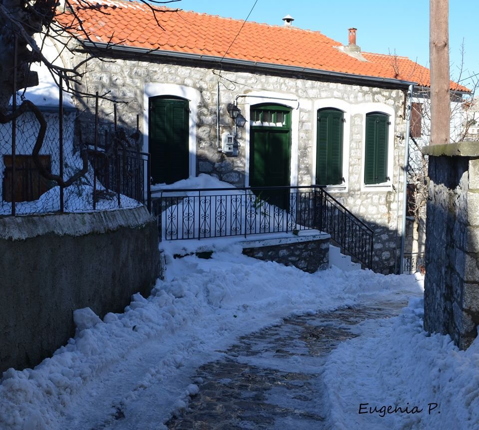 Στα λευκά η Σαμοθράκη: Το χιόνι σκέπασε τις πόρτες των σπιτιών [εικόνες & βίντεο] | iefimerida.gr 12