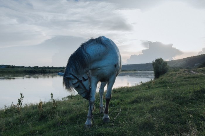 Η χώρα-φάντασμα που δεν υπάρχει για τον υπόλοιπο κόσμο -Η ζωή στην Υπερδνειστερία [εικόνες] | iefimerida.gr 3