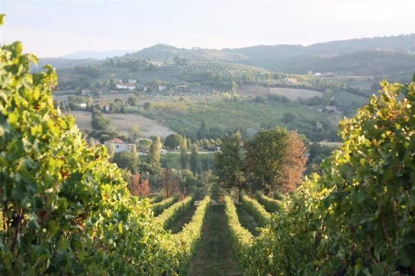 Guardian: Αυτοί είναι οι 20 κορυφαίοι προορισμοί για οικογενειακές διακοπές -Ανάμεσά τους η Κρήτη [εικόνες] | iefimerida.gr 0