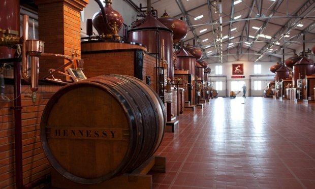 Guardian: Αυτοί είναι οι 20 κορυφαίοι προορισμοί για οικογενειακές διακοπές -Ανάμεσά τους η Κρήτη [εικόνες] | iefimerida.gr 5