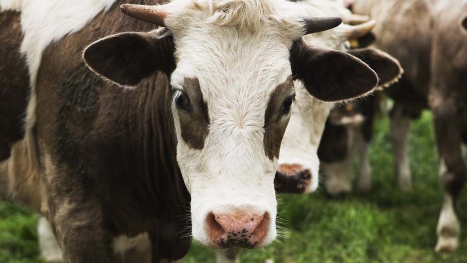 Channel 4: Βαρουφάκης, ο πιο διάσημος υπουργός Οικονομικών στην ιστορία [εικόνες] | iefimerida.gr 0