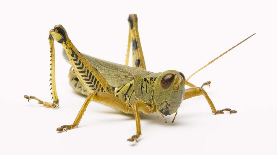 Channel 4: Βαρουφάκης, ο πιο διάσημος υπουργός Οικονομικών στην ιστορία [εικόνες] | iefimerida.gr 4