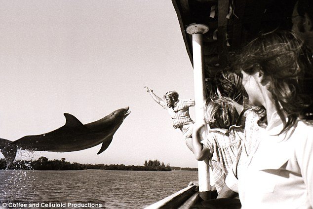 Φωτογράφος αποκαλύπτει: Ετσι με αποπλάνησε ένα δελφίνι και έκανα σεξ μαζί του [εικόνες & βίντεο] | iefimerida.gr 3