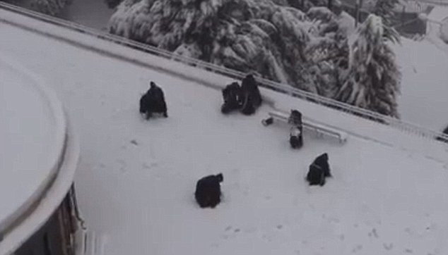 Μοναχοί παίζουν χιονοπόλεμο σαν μικρά παιδιά  [εικόνες & βίντεο] | iefimerida.gr 1