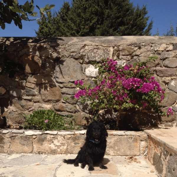 Το εξοχικό του Γιάνη Βαρουφάκη στην Αίγινα [εικόνες] | iefimerida.gr 2