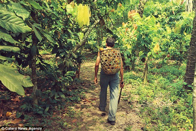 Η πιο ακριβή σοκολάτα στον κόσμο κοστίζει 260 δολάρια και τρώγεται με ξυλάκια [εικόνες]  | iefimerida.gr 6