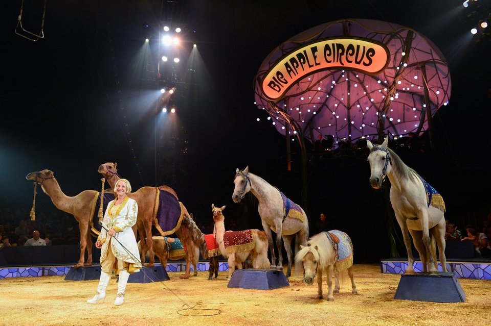 Η ζωή στο τσίρκο: Οι περίεργες οικογένειες, τα ατελείωτα τα ταξίδια και η καθημερινότητα [εικόνες] | iefimerida.gr 16