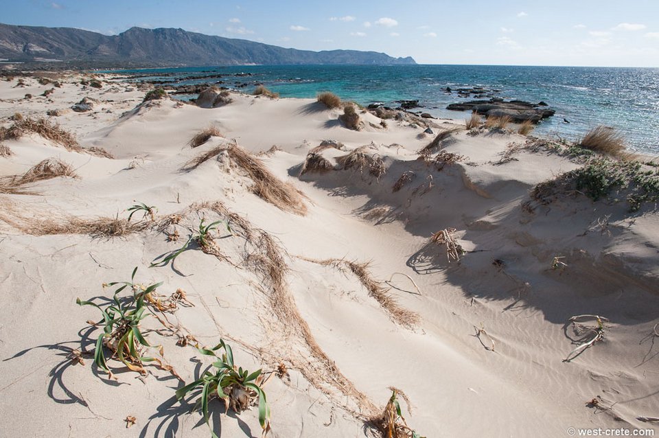 Η ελληνική παραλία που έκανε τους τουρίστες να παραληρούν: Στη λίστα με τις 10 ομορφότερες του κόσμου [εικόνες] | iefimerida.gr 12