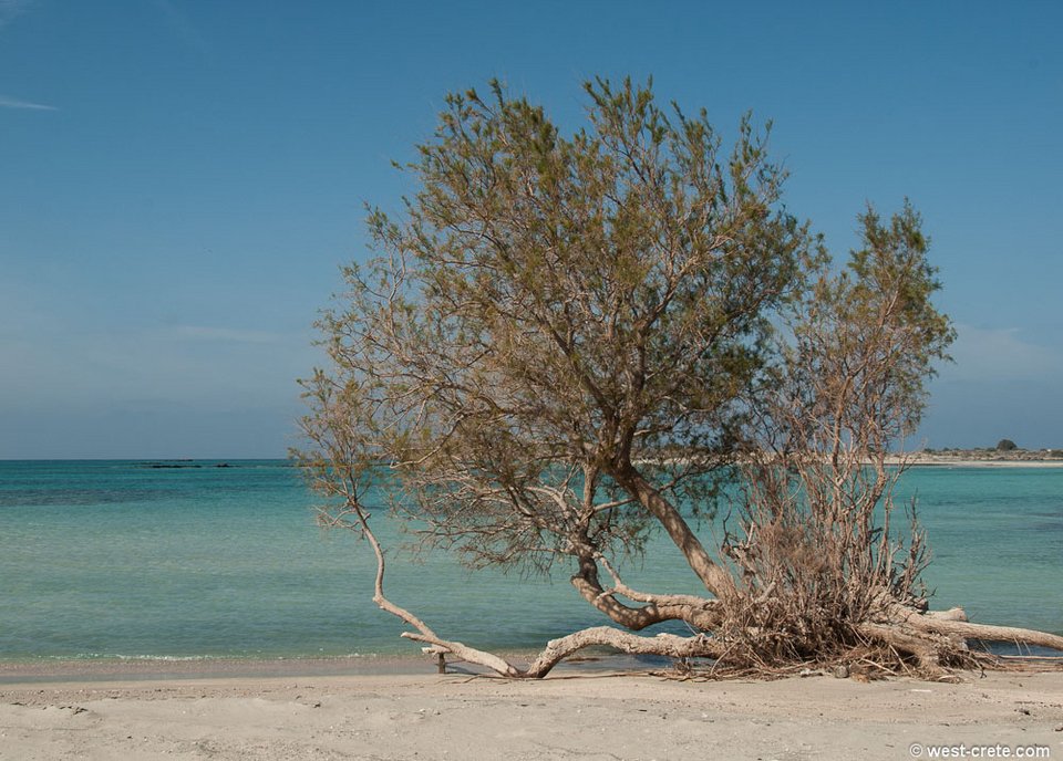 Η ελληνική παραλία που έκανε τους τουρίστες να παραληρούν: Στη λίστα με τις 10 ομορφότερες του κόσμου [εικόνες] | iefimerida.gr 20