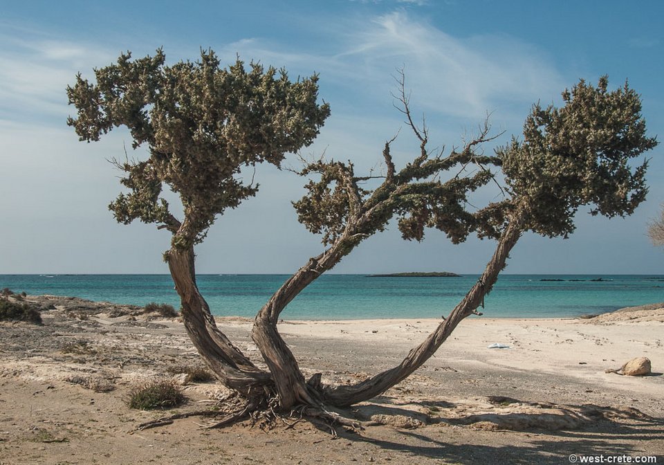 Η ελληνική παραλία που έκανε τους τουρίστες να παραληρούν: Στη λίστα με τις 10 ομορφότερες του κόσμου [εικόνες] | iefimerida.gr 21