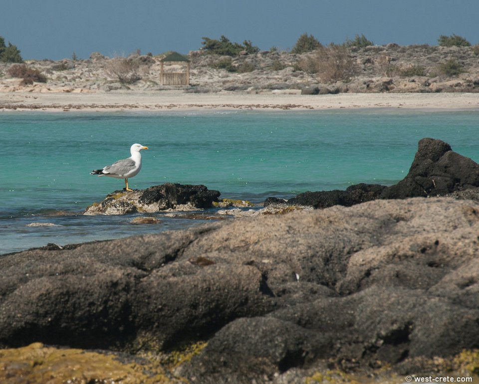Η ελληνική παραλία που έκανε τους τουρίστες να παραληρούν: Στη λίστα με τις 10 ομορφότερες του κόσμου [εικόνες] | iefimerida.gr 22