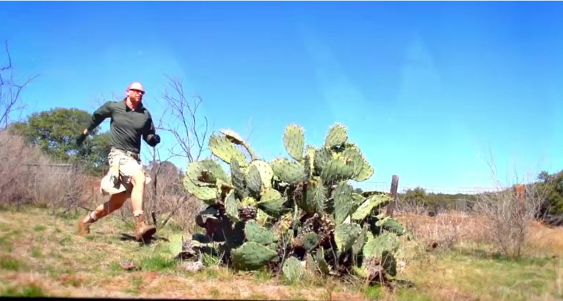 Λοκατζήδες με φούστες -Γιατί προτιμούν να φορούν κιλτ [εικόνες & βίντεο] | iefimerida.gr 0