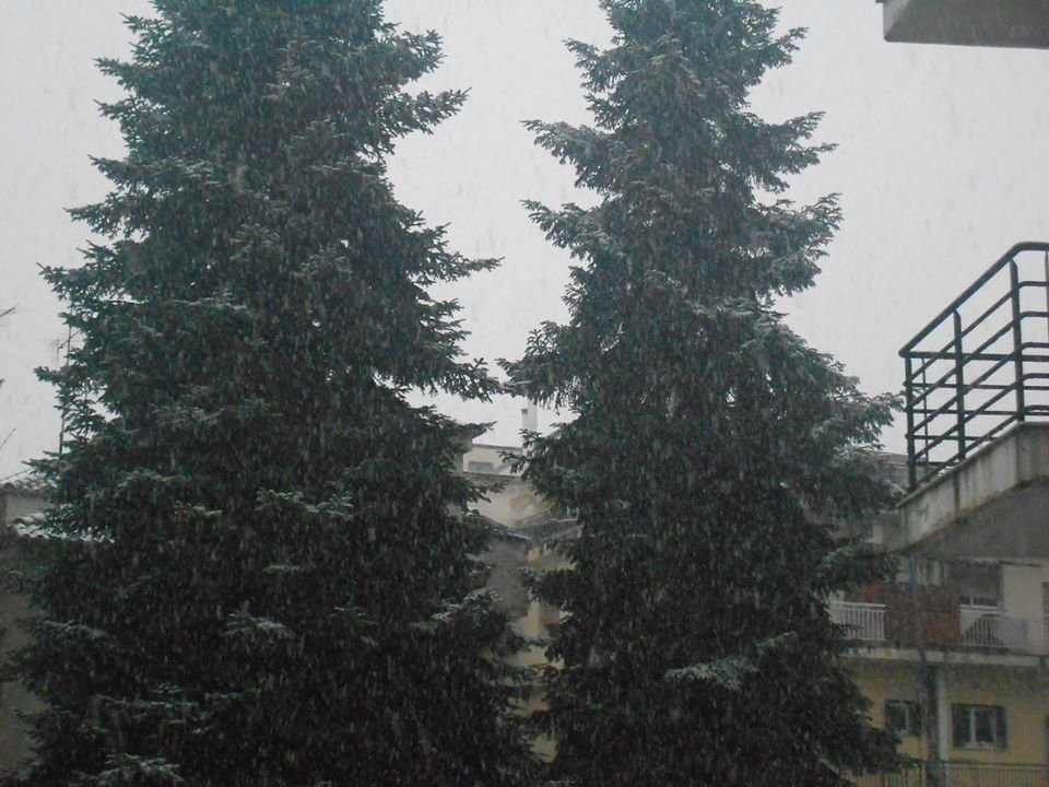 Πολικό ψύχος στα Γιάννενα -Σφοδρή χιονόπτωση μέσα στην πόλη [εικόνες & βίντεο] | iefimerida.gr 4