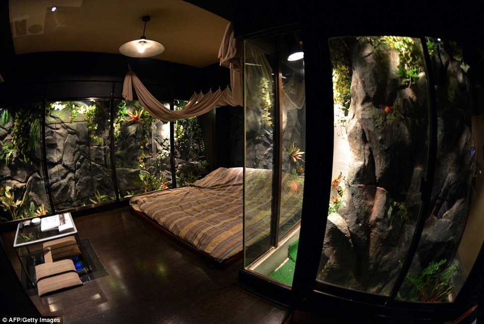 Στα άδυτα των ξενοδοχείων της... αγάπης: Δωμάτια για όλα τα γούστα των παράνομων ζευγαριών [εικόνες] | iefimerida.gr 8