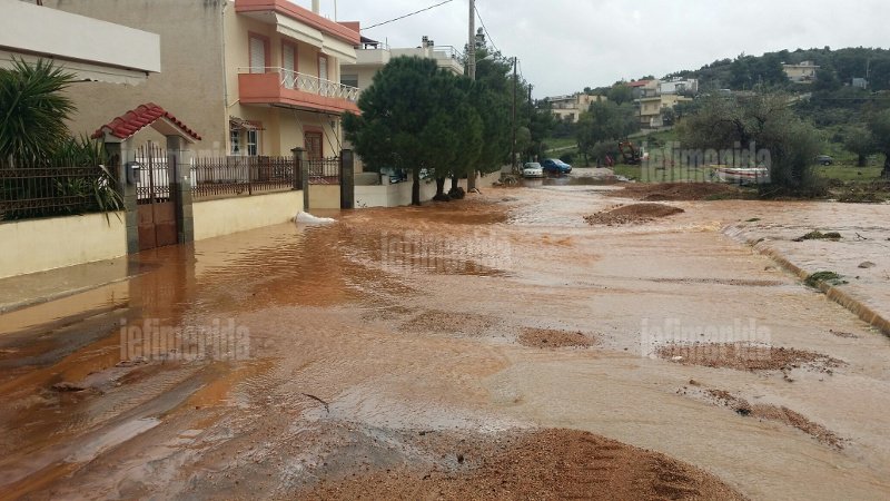 Θάφτηκε κάτω από τη λάσπη η Μάνδρα -Πάνω από 30 αυτοκίνητα καταστράφηκαν από τις πλημμύρες  [εικόνες] | iefimerida.gr 8