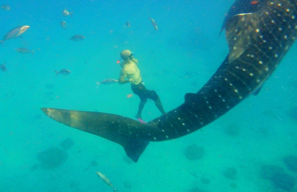 Ενα ονειρεμένο ταξίδι του μέλιτος -Κράτησε δύο χρόνια και γύρισαν όλο τον κόσμο [εικόνες] | iefimerida.gr 9