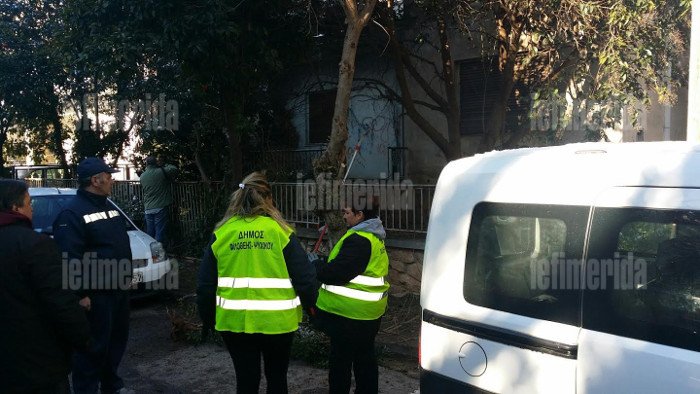 Συνεργεία του δήμου ξεχορταριάζουν και κλαδεύουν έξω από το σπίτι του Παυλόπουλου  -«Συμμάζεψαν» ακόμη και εγκαταλελειμμένη μονοκατοικία [εικόνες]  | iefimerida.gr 6
