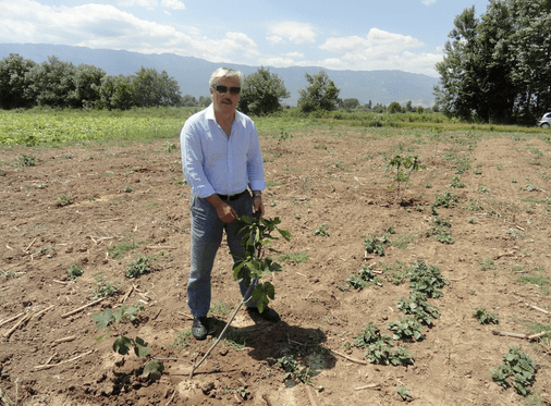 Ξανά στο... μεροκάματο: Τι κάνουν σήμερα οι πολιτικοί που δεν κατάφεραν να μπουν στη Βουλή [εικόνες] | iefimerida.gr 5