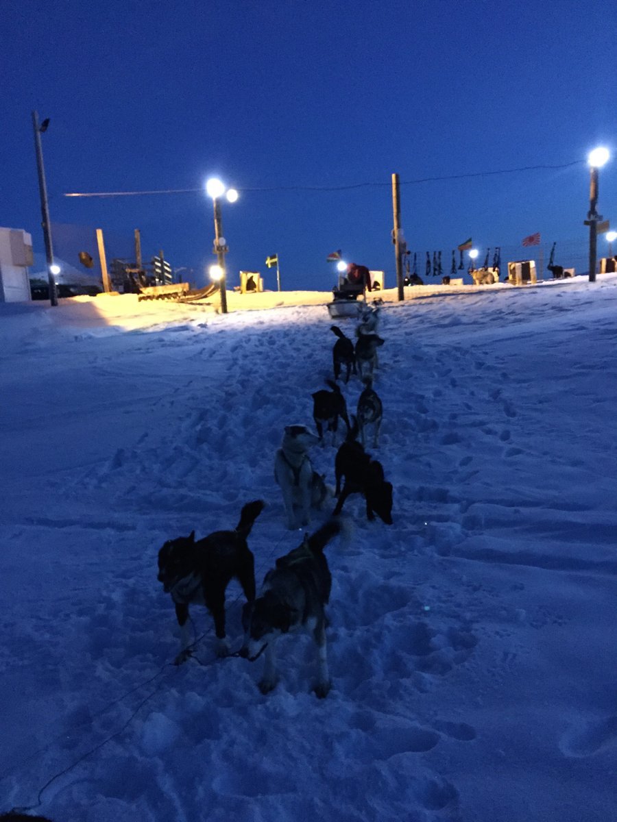 Ζώντας 24 ώρες στο σκοτάδι: Ταξίδι στο βορειότερο κατοικημένο σημείο του κόσμου [εικόνες] | iefimerida.gr 2