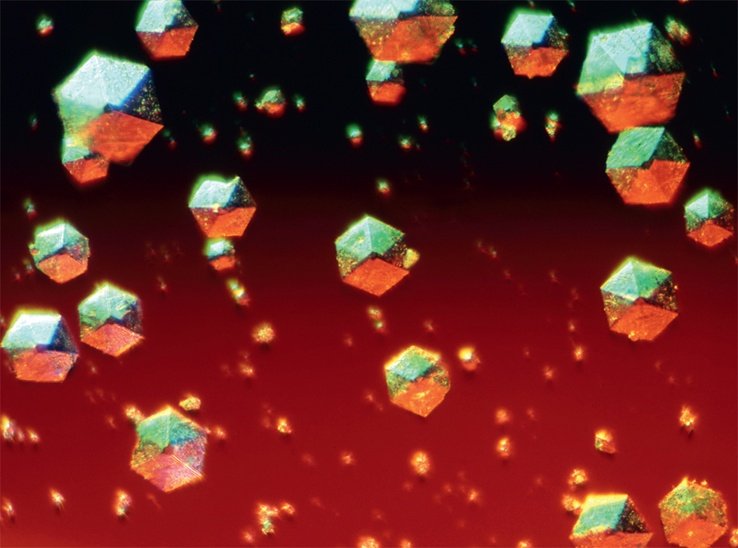 Ανθρώπινο σώμα ή... σουρεαλιστικό έργο τέχνης; - 10 φωτογραφίες αποκαλύπτουν [εικόνες] | iefimerida.gr 4