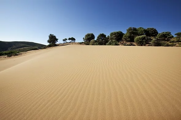 Αναπάντεχο: Κι όμως υπάρχει έρημος στην Ελλάδα -Η «Σαχάρα» της Λήμνου [εικόνες & βίντεο] | iefimerida.gr 0