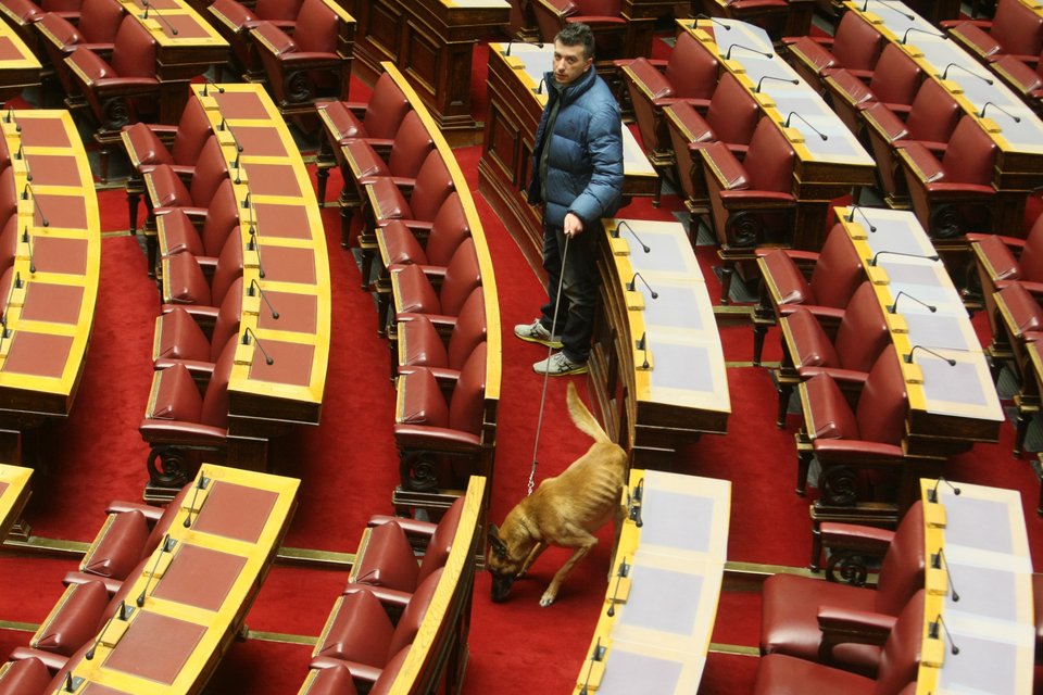 Κι όμως ένας σκύλος έκανε... βόλτα μέσα στην αίθουσα της Ολομέλειας [εικόνες] | iefimerida.gr 0
