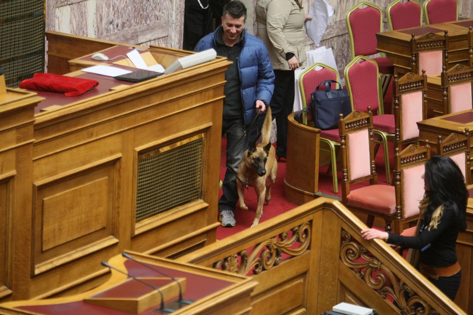 Κι όμως ένας σκύλος έκανε... βόλτα μέσα στην αίθουσα της Ολομέλειας [εικόνες] | iefimerida.gr 1