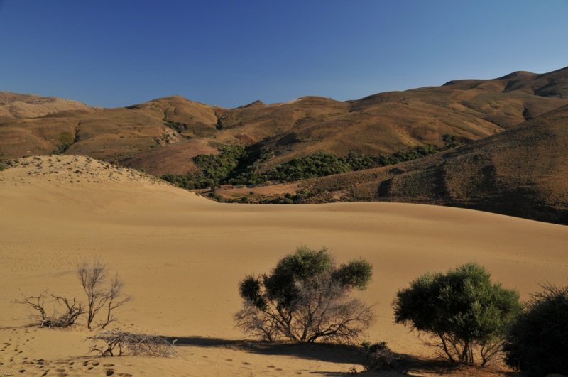Αναπάντεχο: Κι όμως υπάρχει έρημος στην Ελλάδα -Η «Σαχάρα» της Λήμνου [εικόνες & βίντεο] | iefimerida.gr 8