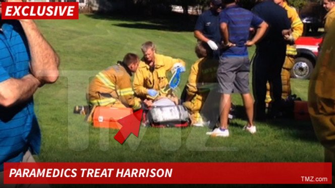 Συνετρίβη το αεροπλάνο του Χάρισον Φορντ -Στο νοσοκομείο με τραύματα στο κεφάλι ο ηθοποιός [εικόνες & βίντεο] | iefimerida.gr 2