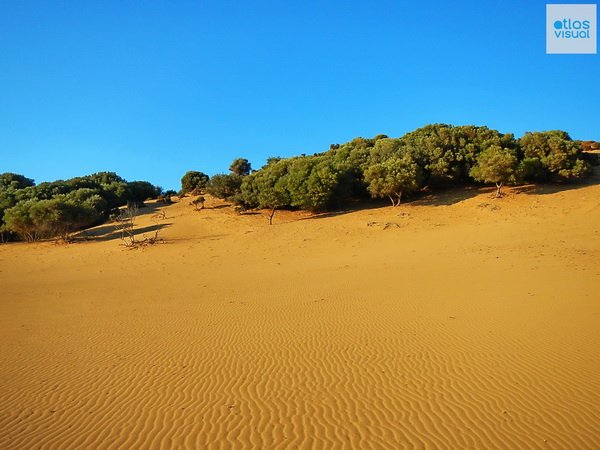 Αναπάντεχο: Κι όμως υπάρχει έρημος στην Ελλάδα -Η «Σαχάρα» της Λήμνου [εικόνες & βίντεο] | iefimerida.gr 9