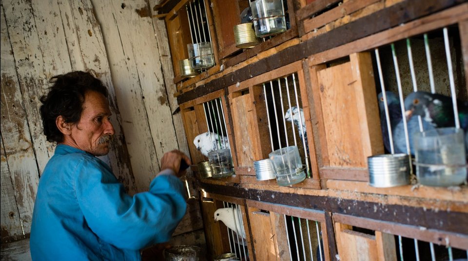 Στις ταράτσες της Αβάνας: Τα ιδιαίτερα σπιτικά που στήνουν στις... κορυφές οι κάτοικοι της πόλης [εικόνες] | iefimerida.gr 3