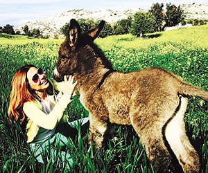 Εγκατέλειψε τις πίστες και εκτρέφει γαϊδουράκια στην Κύπρο [εικόνες] | iefimerida.gr 3