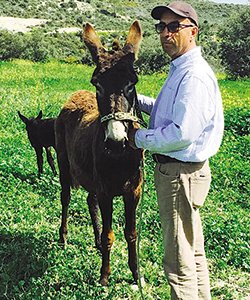Εγκατέλειψε τις πίστες και εκτρέφει γαϊδουράκια στην Κύπρο [εικόνες] | iefimerida.gr 5