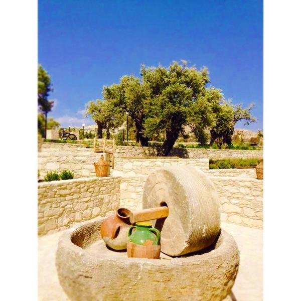 Εγκατέλειψε τις πίστες και εκτρέφει γαϊδουράκια στην Κύπρο [εικόνες] | iefimerida.gr 8