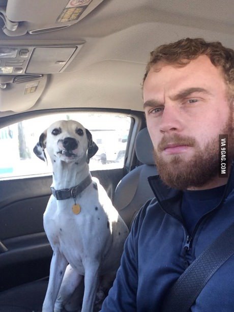 Καυτοί άντρες με τα σκυλάκια τους «λιώνουν» το Ιnstagram [εικόνες] | iefimerida.gr 10