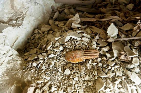 Βρέθηκε αρχαίος τάφος στην Αίγυπτο -Οι πολύχρωμες και λεπτομερείς τοιχογραφίες μαγεύουν [εικόνες] | iefimerida.gr 5