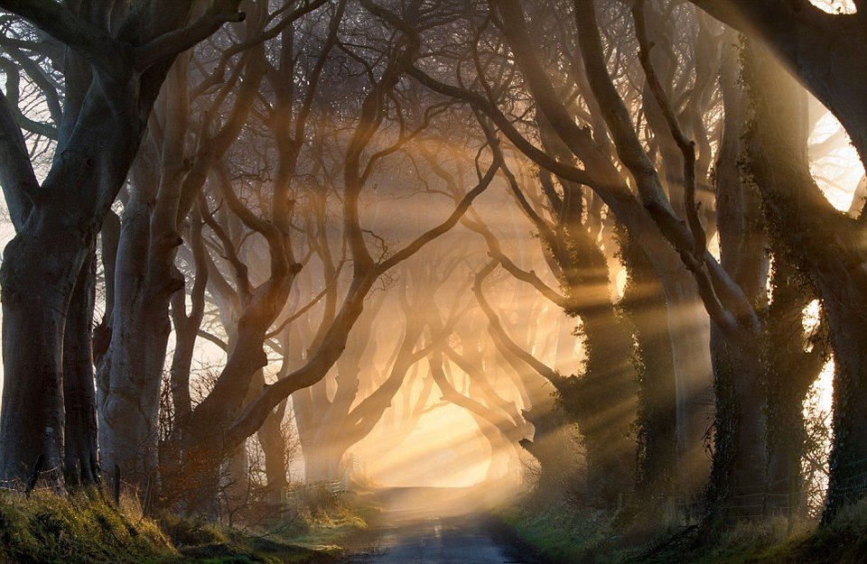 Daily Mail: Αυτά είναι τα πιο παραμυθένια μέρη στον κόσμο -Ενα και στην Ελλάδα [εικόνες] | iefimerida.gr 14