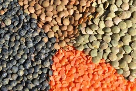 Eπτά superfoods για τα μαλλιά -Τα κάνουν λαμπερά, δυνατά και μακριά [εικόνες] | iefimerida.gr 2