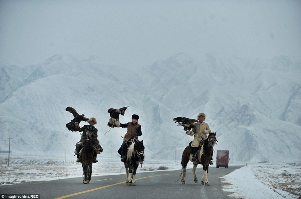 Το κυνήγι με τα γεράκια: Απίστευτα καρέ όταν ο άνθρωπος γίνεται «ένα» με το ζώο [εικόνες] | iefimerida.gr 5