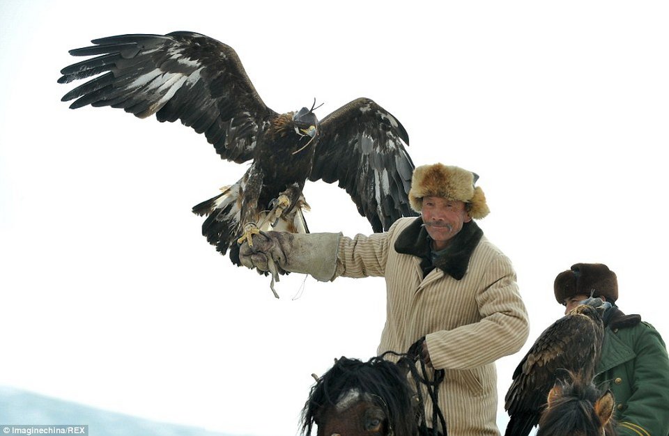 Το κυνήγι με τα γεράκια: Απίστευτα καρέ όταν ο άνθρωπος γίνεται «ένα» με το ζώο [εικόνες] | iefimerida.gr 0