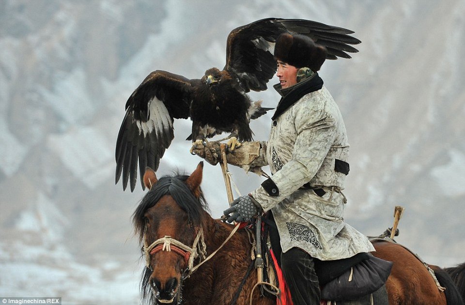 Το κυνήγι με τα γεράκια: Απίστευτα καρέ όταν ο άνθρωπος γίνεται «ένα» με το ζώο [εικόνες] | iefimerida.gr 1